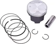 STD 73mm Piston Ring Kit for DR250 1990-1995 DR250SES 1990-1995 AN250 BURG/MAN 1998-2006 DR250 1998-2000 DRZ250 2001-2007(Oversize 25 73.25mm)