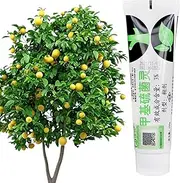 Tree Wound Sealer - Garden Tree Wound Sealer Healing Paste,Garden Bonsai Supplies for Air Layering Deadwood Carving Trunk Chop Healing