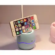 Supperstore Multifunctional Desk Lamp with Pen Holder Desktop Night Light Desk Lamp Reading Desk Lamp Creative LED-Pink