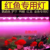 在飛比找Yahoo!奇摩拍賣優惠-增艷燈 魚缸雙排LED燈七彩遙控變色燈防水照明燈管潛水燈鸚鵡