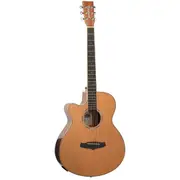 Tanglewood Winterleaf Pro Super Folk C/E Left-Hand Acoustic Guitar TWPRO4-CE-LH