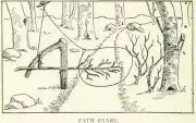 Traps Trapping Snares Netting & Hunting on DVD 132 ebooks on Disc PDF FORMAT
