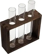 Totority 1Pc Creative Test Tube Vase Container for Water Planting Decorative Hydroponic Holder for Dried Flowers Indoor Home Decor Space Saving Design Durable