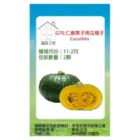 在飛比找momo購物網優惠-【蔬菜工坊】G70.仁壽栗子南瓜種子2顆