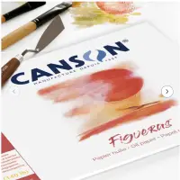 在飛比找蝦皮購物優惠-🇫🇷 法國製 CANSON Figueras 290g 10