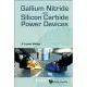 Gallium Nitride and Silicon Carbide Power Devices