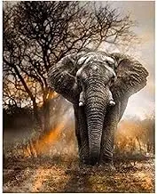 ACANDYL Paint by Number Elephant DIY Painting Paint by Number Kit for Kids Adults DIY Canvas Painting by Numbers Acrylic Painting Arts Craft for Home Wall Decoration Paint by Numbers Elephant 16x20 In
