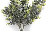 MYRTLE MK2 Eucalyptus Bunch 64CM