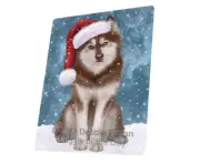 Let it Snow Christmas Holiday Husky Dog Woven Throw Sherpa Blanket T234