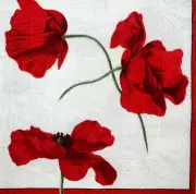 5 Paper Napkins for Decoupage/Scrapbooking/Craft- Red Poppy