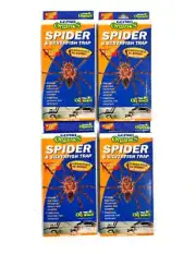 Spiders and Silverfish Traps Gepro Organics pesticide free baits - Bulk offers