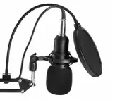 Studio Condenser Microphone Kit Boom Arm Pop Filter Podcast Recording BM800