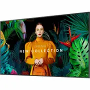Samsung QM55C 55" Digital Signage Display