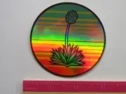 Cool Beer Brewery STICKER ~ PONDASETA Brewery ~ Amarillo, TEXAS ~ Agave Cactus