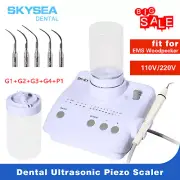Dental Ultrasonic Scaler Self Water supply fit DTE Satelec Endo Perio Scaling