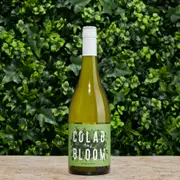 2023 Colab & Bloom Adelaide Hills Sauvignon Blanc | The Wine Collective