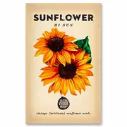 The Little Veggie Patch Co Sunflower Seeds