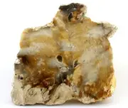 194 Gram Bruneau Canyon Solid Creme Oregon Opal Jasper Slab Cab Rough OJ11