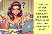 3x2 Funny Wine Drinking Computer Lady Meme Fridge Refrigerator Magnet (D.Romeo)