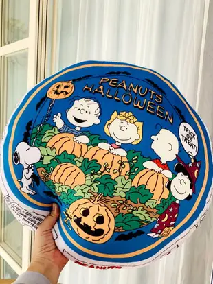 ⭐SNOOPY 史努比 靠枕 抱枕 頭枕 沙發抱枕 查理 直徑38CM