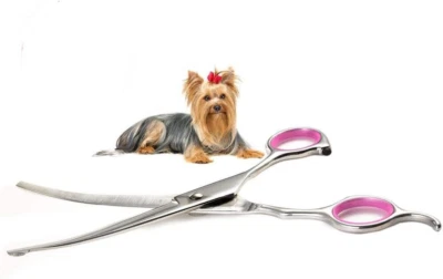 Dog Grooming Scissors Curved 7 Inch Stainless Steel with Safety round Tips Profe