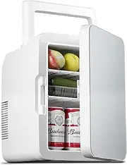 10L Mini Fridge for Bedroom Small Refrigerator with Handle Portable Fridge Food Heater & Beverage Cooler for Car/Camping/Travel AC+DC Power (Color : Silver)