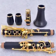 Wooden ebony gilt 17 key clarinet clarinet Bb
