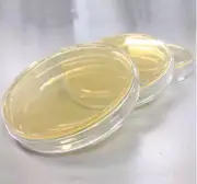 Pre-cast LB Agar Culture Plate, 10 pcs/pack