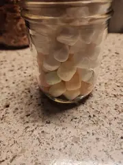 1 Pint Jar Of Mixed Freezedried Marshmellows