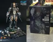 Hottoys MMS221 AVP Celtic Predator 2.0 1/6th Collectibles Figure New In Stock
