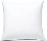 JIEITIVE Throw Pillow Inserts Hypoallergenic Premium Pillow Stuffer Square Form for Decorative Pillow Covers Cushion Set of 1-20 x 20 Inches