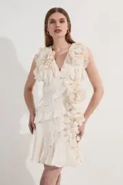 Ruffle & Applique Viscose Mini Dress
