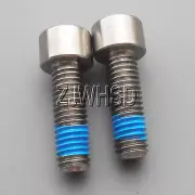 2pcs M8 x 25 mm Titanium Ti Screw Bolt Allen Hex Socket Cap Head + Thread Locker