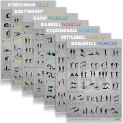 Alpine Fitness 7 Exercise & Fitness Posters | Large Laminated Gym Planner Charts for Great Workouts - Guide to Build Strength (Stretch Bodyweight Ball Dumbbell Barbell Band Kettlebell) |