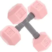 KOMBIUDA 2pcs Mini Dumbbells Para Ejercicios Dumbbell for Women Dumb Bells Cute Business Card Holder for Desk Gymnastics Custom Card Holder Small Weights for Women Pink
