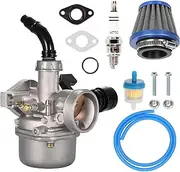 PZ19 Carburetor Kit - Engineered for TaoTao Baja Kazuma Loncin Sunl Peace Sports Kayo Fox SSR Lazer 6 Kandi 50 70 90 110 125cc 4 Wheeler ATV Quad Pit Dirt Bike Go Kart Cart Moped Parts (blue)