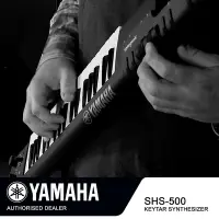 在飛比找Yahoo奇摩購物中心優惠-『YAMAHA 山葉』37鍵Keytar 肩背鍵盤吉他 / 