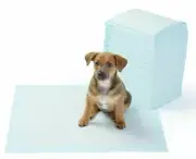 AmazonBasics TRP100R Pet Training Pads - 100 Pack