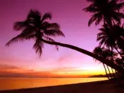 V2501 Tropical Paradise Sunset Palm Tree Beach Sea Decor WALL POSTER PRINT AU