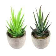 2 Pcs Simulated Succulents Small Faux Bonsai Plants Decor Fake Artificial