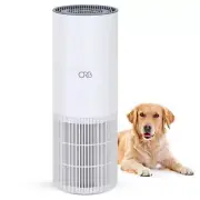Air Purifier and Humidifier Combo,Air Purifier for Home Bedroom, Remove Dust ...