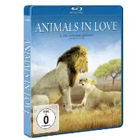 在飛比找蝦皮購物優惠-BD碟片《電影》《動物之愛/戀愛中的動物們/KISS小親親》