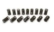 Manley 22410-16 Manley Valve Spring, SPRING-SBC 1.250