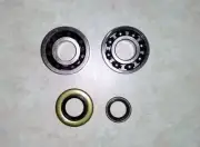 Crankshaft Crank Bearings & Seal Set for Stihl MS660 066 Chainsaw