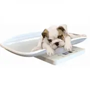 15kg electronic scale for small animals weighing small cats and dogs