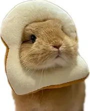 Rabbit Collar Bread Slice Collar Toast Bread-Shaped Rabbit Headdress, Pet Cosplay Makeup Cap, Bunny Cartoon Costume, Dressing Up Props, Small Animal Headgear (8''- 9'' Head Girth)