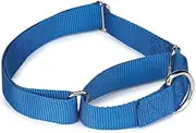 Bulk Lot Martingale Dog Collars at Wholesale Prices Nylon Collar Multi Packs(Blue - 14 to 20 Inch Collars)