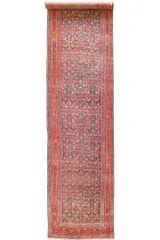 Bijar Hand Knotted Wool Runner 534x120 cms by Cyrus Rugs