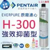 【EVERPURE】美國原廠 H300濾心/濾芯 美國濱特爾Pentair 強效抑菌 除鉛 抑垢 除VOC 強森淨水/另售 S104 H104 S100 H54 S54(平行輸入)