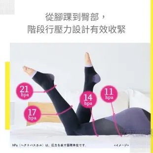 Dr.Scholl QTTO 爽健 日本製 2018新款 提臀2cm美腿機能襪 M/L【JE精品美妝】